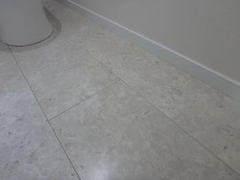 トイレ用床汚れ防止の施工例変換 ～ P5300279.jpg