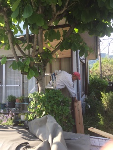 足柄・小田原・秦野で下見板の交換013a1da237c822e92a740b951e6dc5ed3e66635901-down.jpg